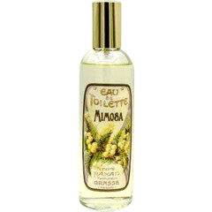 Mimosa by Honoré Payan perfume bottle