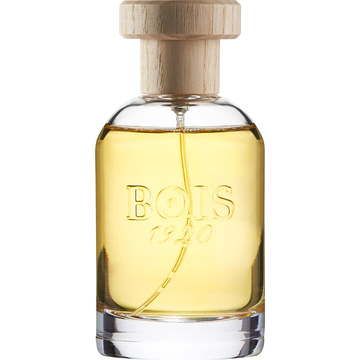 Insieme by Bois 1920 perfume bottle