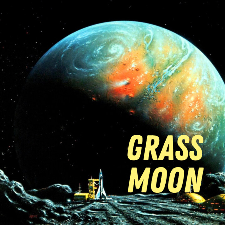 Grass Moon by Pulp Fragrance perfume bottle