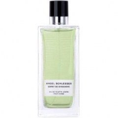 Sélection de Mémoires - Esprit de Gingembre pour Homme by Angel Schlesser perfume bottle