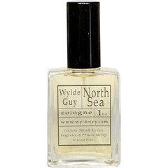 The Seas Collection - North Sea / North Sea by Wylde Ivy perfume bottle