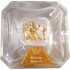 Gardenia by Molinelle perfume bottle