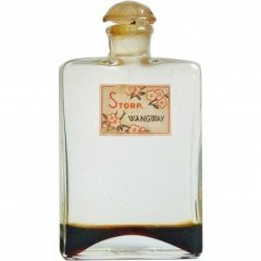 Wangway by Bruno Storp perfume bottle