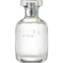 Eucalyptus White Tea