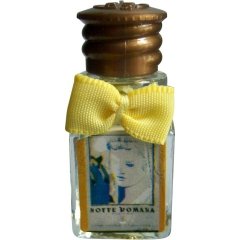 Notte Romana by Borsari 1870 perfume bottle