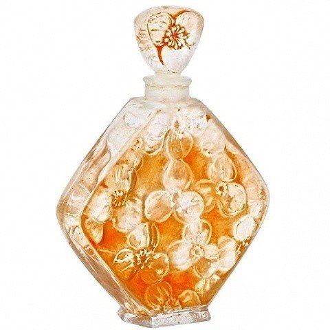 Napee by Volnay perfume bottle