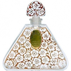 Muguet by Ayer perfume bottle