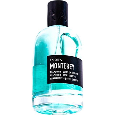 Monterey by Evora perfume bottle