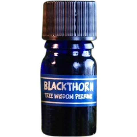 Tree Wisdom Perfume - Blackthorn by Star Child perfume bottle
