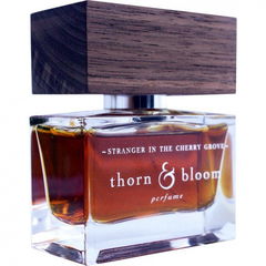 Stranger in the Cherry Grove by Thorn & Bloom perfume bottle