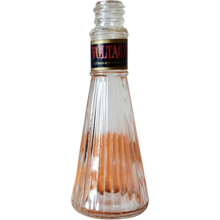 Voltage (Concentrate) by Dorothy Gray perfume bottle