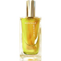 Cypress Rose by Soivohle perfume bottle