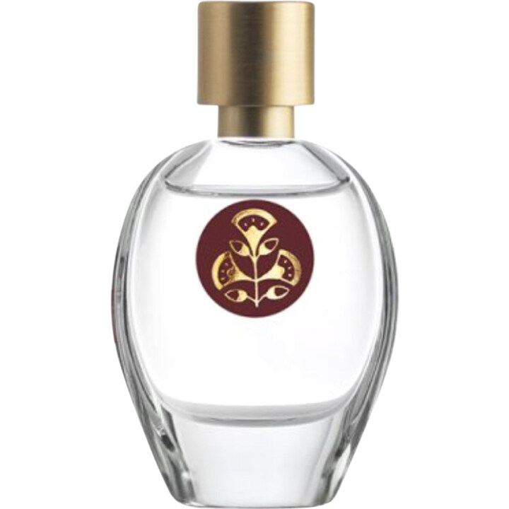 Ad Anapo by Amaranthvs Herbis perfume bottle
