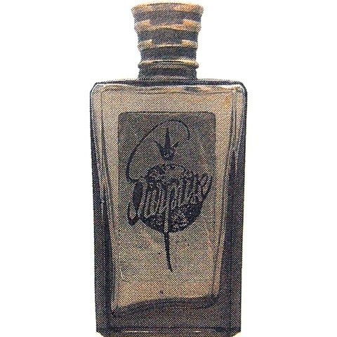 Surprise by Unknown Brand / Unbekannte Marke perfume bottle
