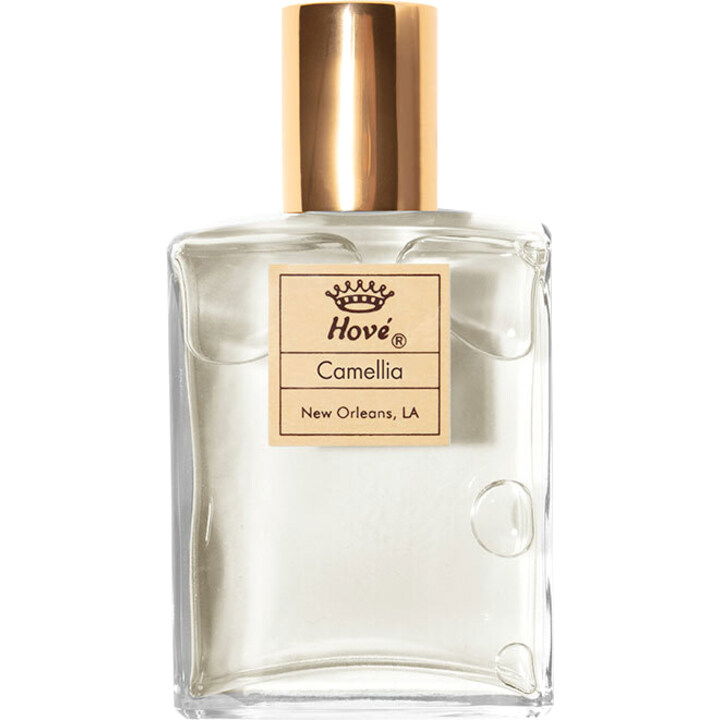Caballero (Perfume) by Hové