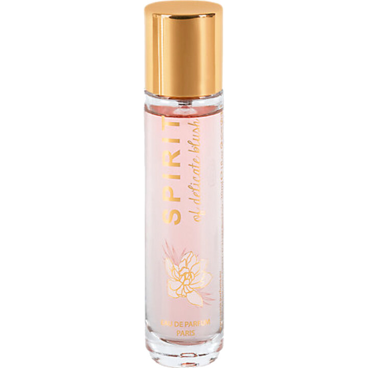 Spirit of Delicate Blush by Spirit perfume bottle