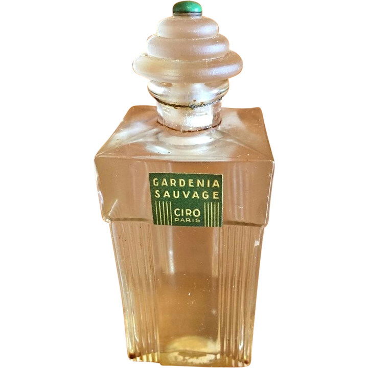 Gardenia Sauvage by Ciro perfume bottle
