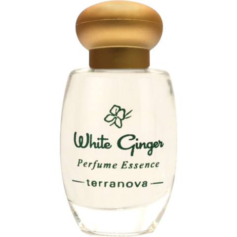 White Ginger (Perfume Essence) by Terranova perfume bottle