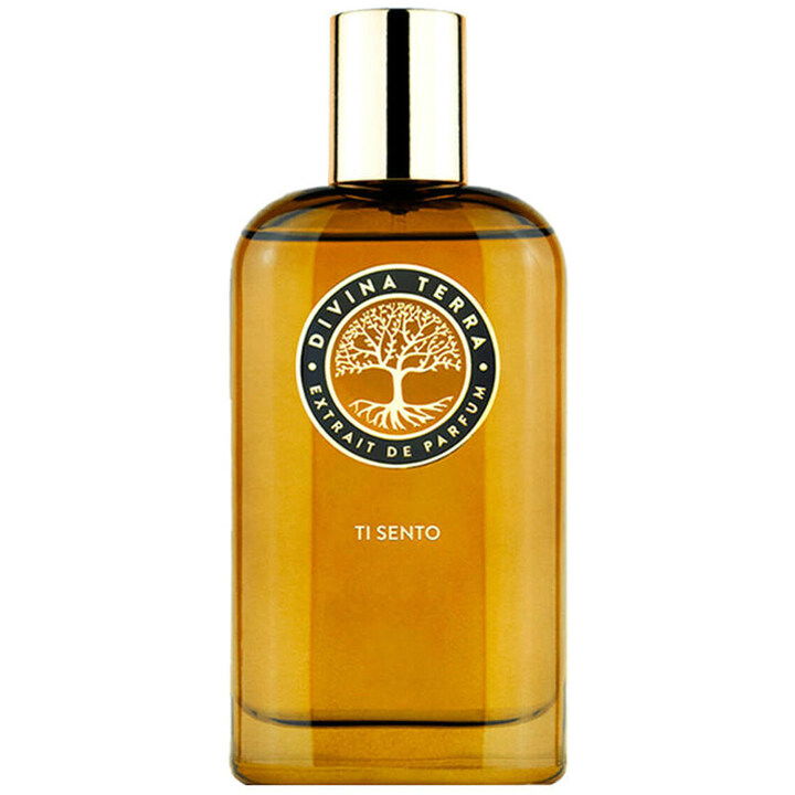 Ti Sento by DiVina Terra perfume bottle