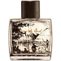 Bois de Oud by Biosea perfume bottle