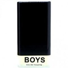 Boys by Parfums Codibel perfume bottle