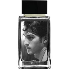 Steel by Parisvally perfume bottle