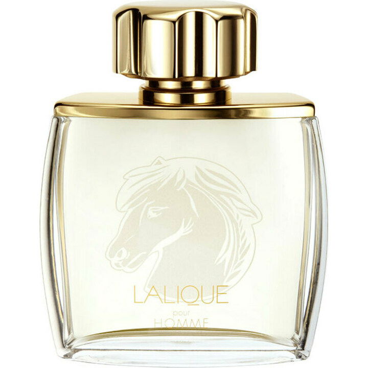 Lalique pour Homme Equus EDP by Lalique perfume bottle