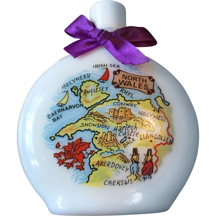 Fragrance of Welsh Violets by Aidees perfume bottle