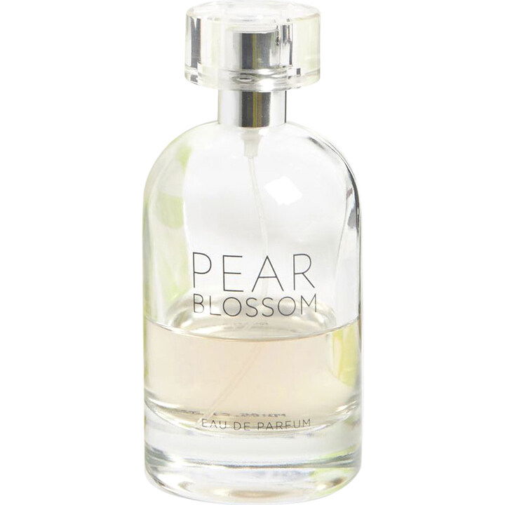 Pear Blossom by Next perfume bottle