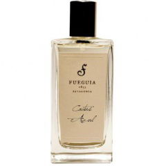 Cactus Azul (Perfume) by Fueguia 1833 perfume bottle