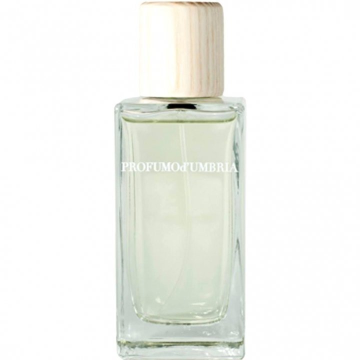 Profumod'Umbria by Profumod'Umbria perfume bottle