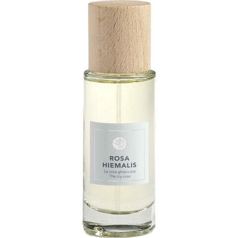 Rosa Hiemalis by Rosae Virtus perfume bottle