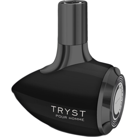 Tryst pour Homme by Camara perfume bottle