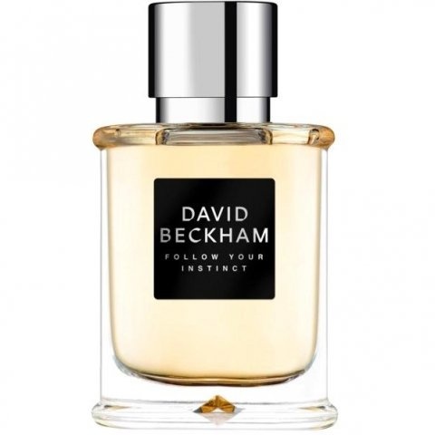 Follow Your Instinct EDT by David Beckham perfume bottle