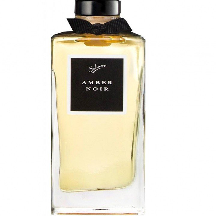 Amber Noir by Sohum perfume bottle