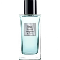 Cardamome & Embruns by L'Essence des Notes perfume bottle