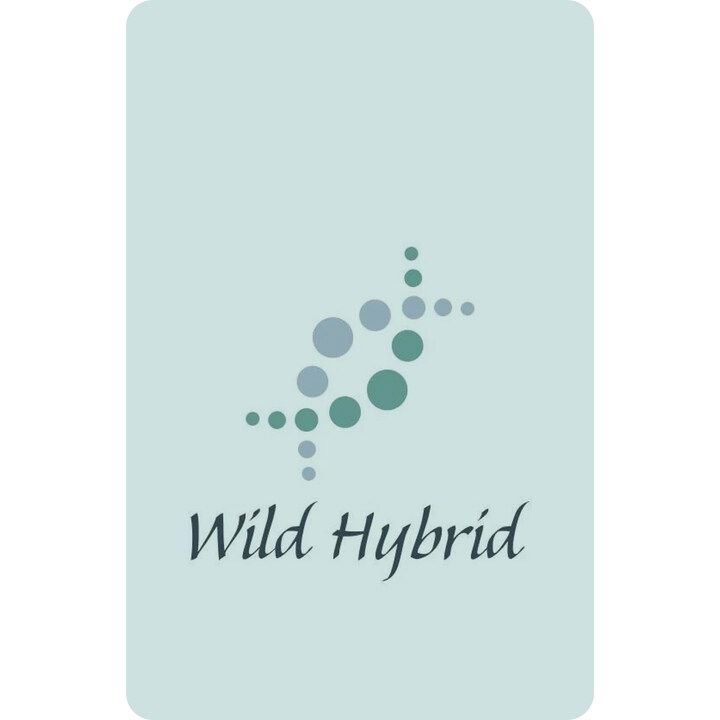 The Spread - 12 The Hanged Man by Wild Hybrid perfume bottle