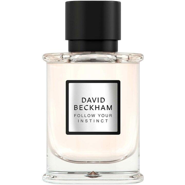 Follow Your Instinct EDP by David Beckham perfume bottle