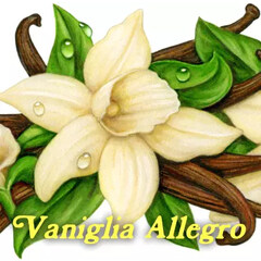 Vaniglia Allegro by Pulp Fragrance perfume bottle
