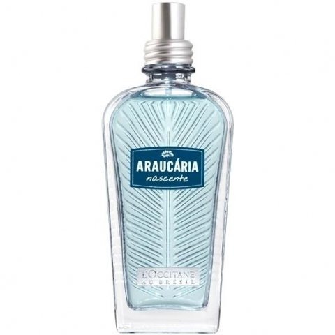 Araucária Nascente by L'Occitane au Brésil perfume bottle