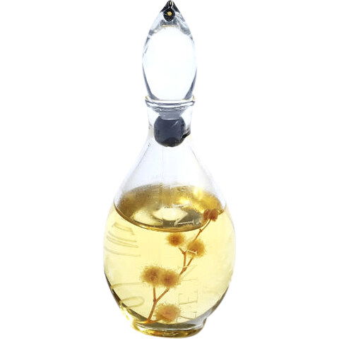 Intimity Me by Zenami perfume bottle