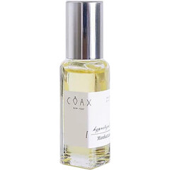Hypnotized in Manhattan (Perfume Oil) by Coax perfume bottle