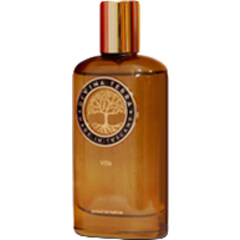 Vita by DiVina Terra perfume bottle