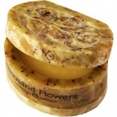 Ganesha's Garden - Thousand Flowers by Between Heaven & Earth perfume bottle