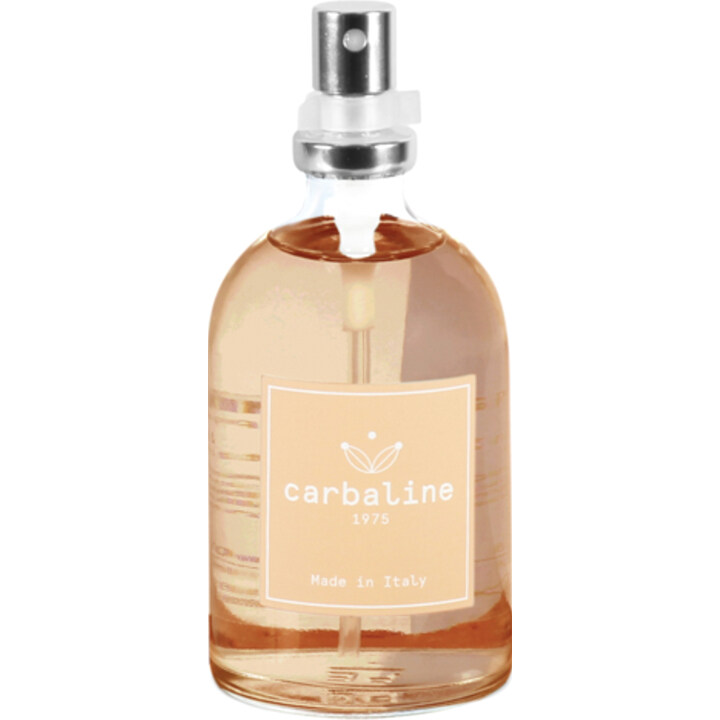 Corteccia & Pepe Nero by Carbaline perfume bottle