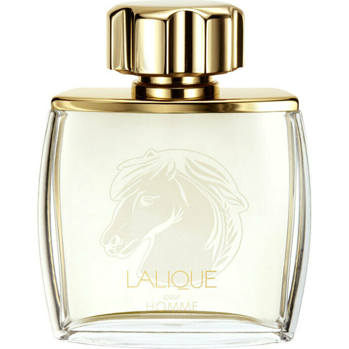 Lalique pour Homme Equus EDP by Lalique perfume bottle