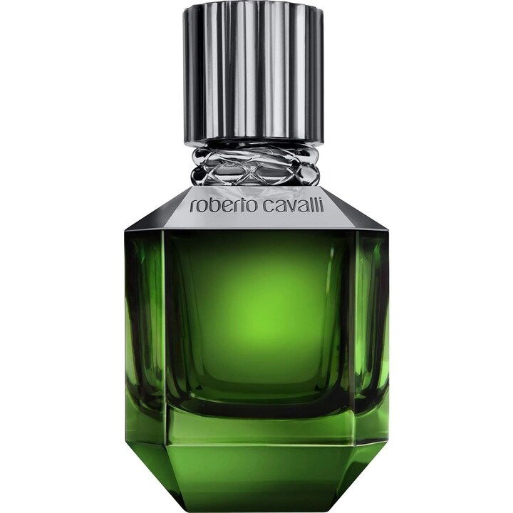 Paradise Found for Men by Roberto Cavalli perfume bottle