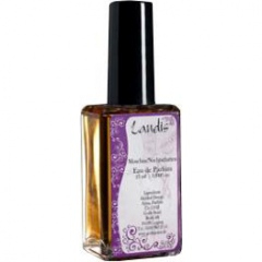 Landis by Weltenduft perfume bottle