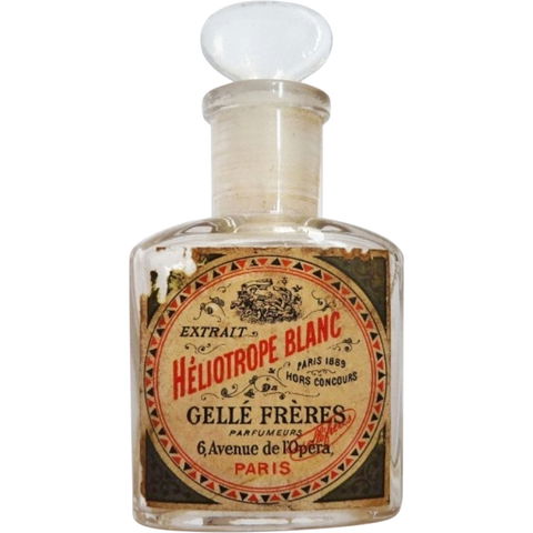 Héliotrope Blanc by Gellé Frères