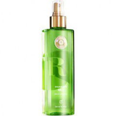 Posdata - Bailamos en Río? by Yanbal perfume bottle